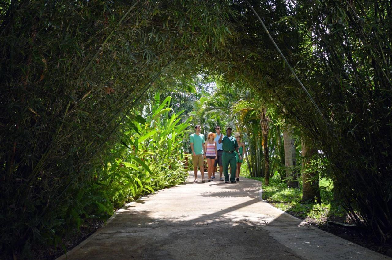 Sunset At The Palms Resort (Adults Only) Negril Exterior foto